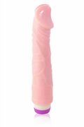 Vibratore Realistico Daryl Fantasy Pleasure 22cm